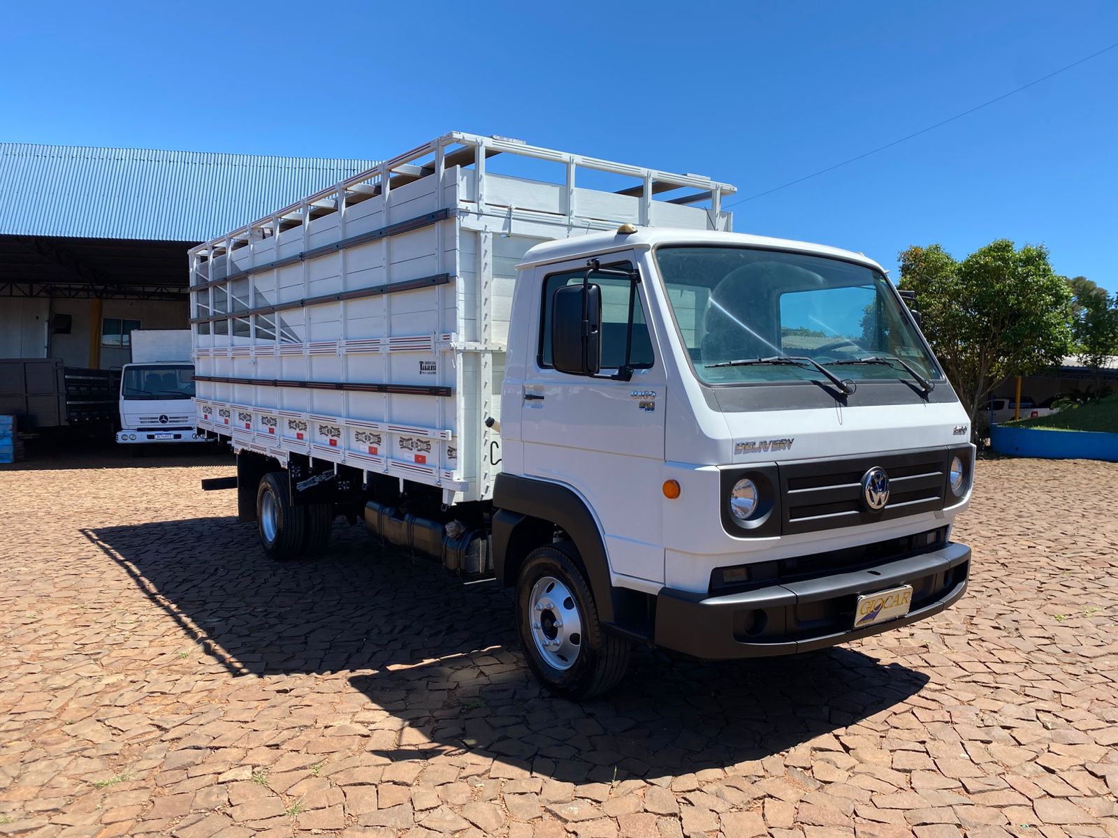 VW 8160 4X2 Boiadeira