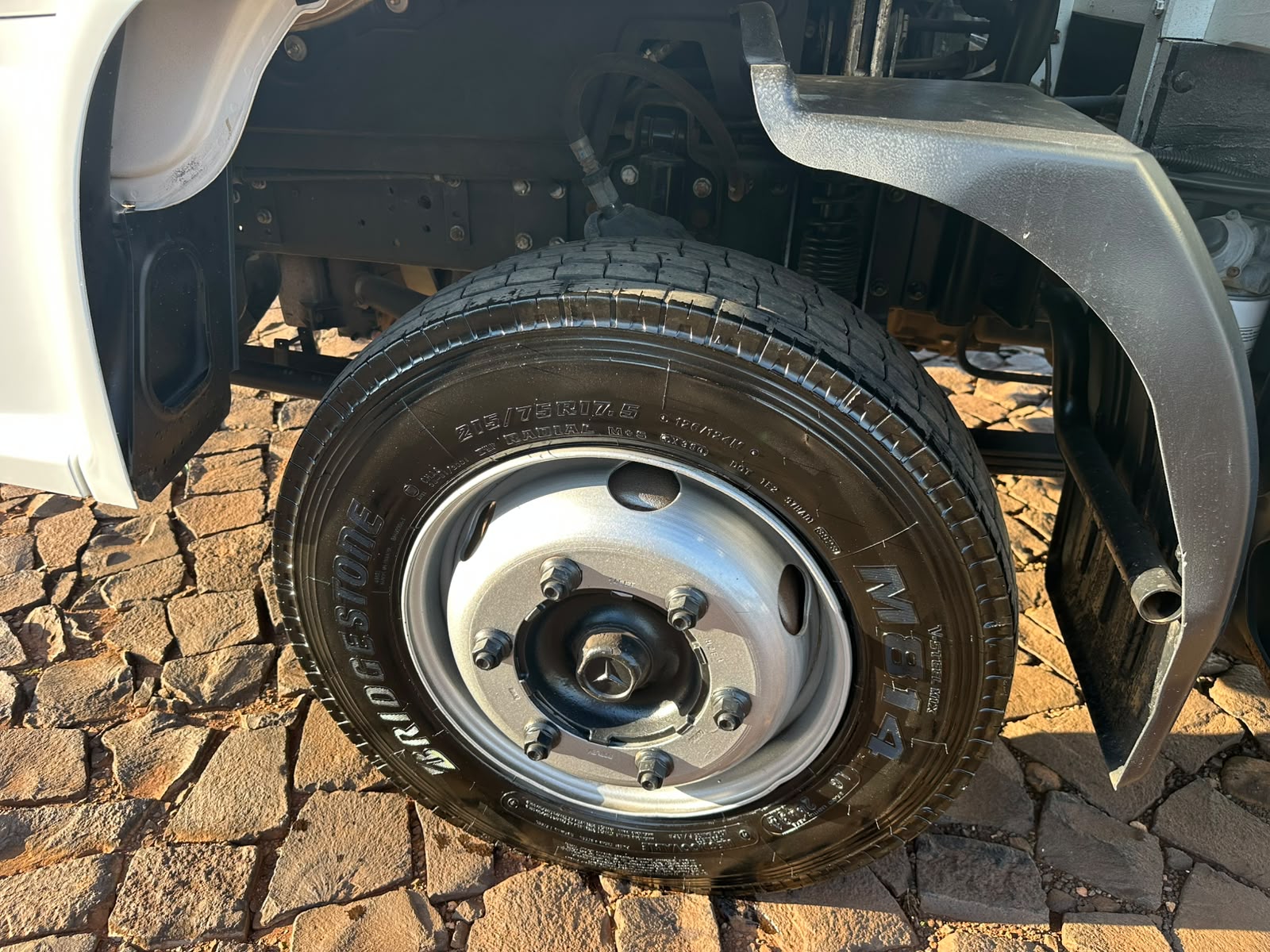 MB ACCELO 815 4X2 Boiadeira - Imagem 17
